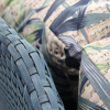 Conjunto Coloquial - Image 2