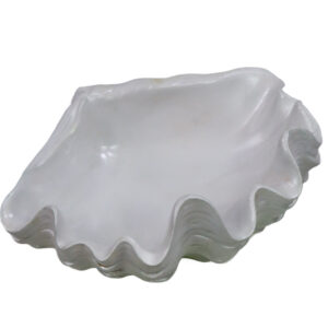 Fruteira de gesso (concha)